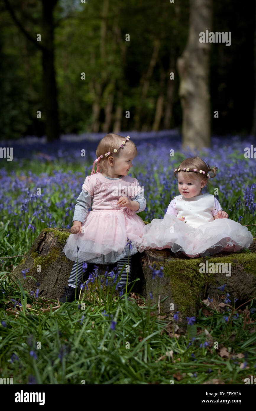 Two girls sitting on a tree stump in a wood full of bluebells in ...