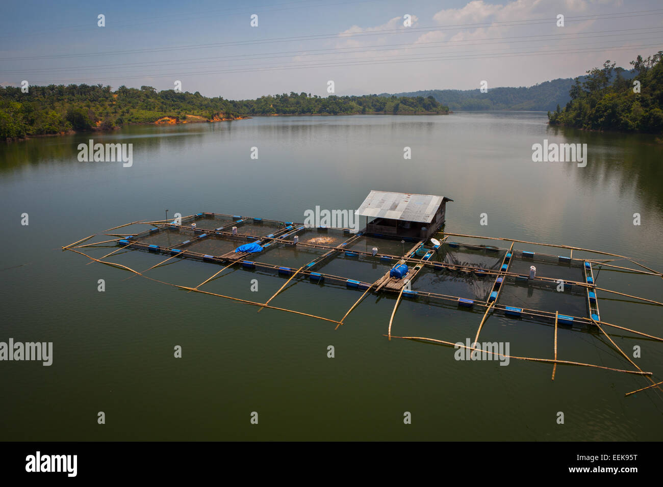 Freshwater fish farm in Kampar, Riau, Indonesia. Stock Photo