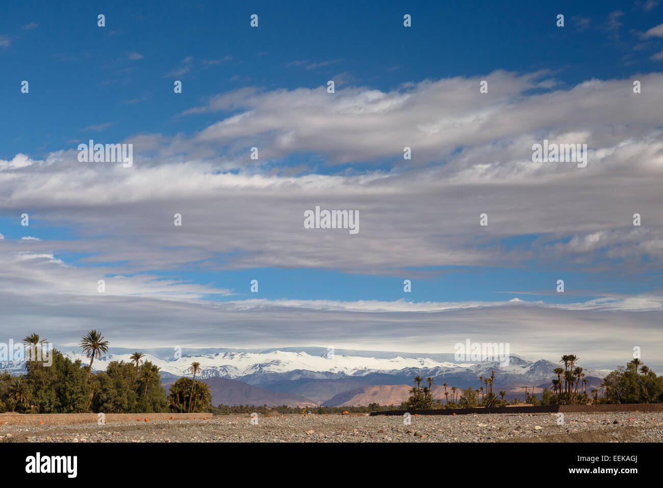 Palms and mountains. Skoura. Morocco. North Africa. Africa Stock Photo