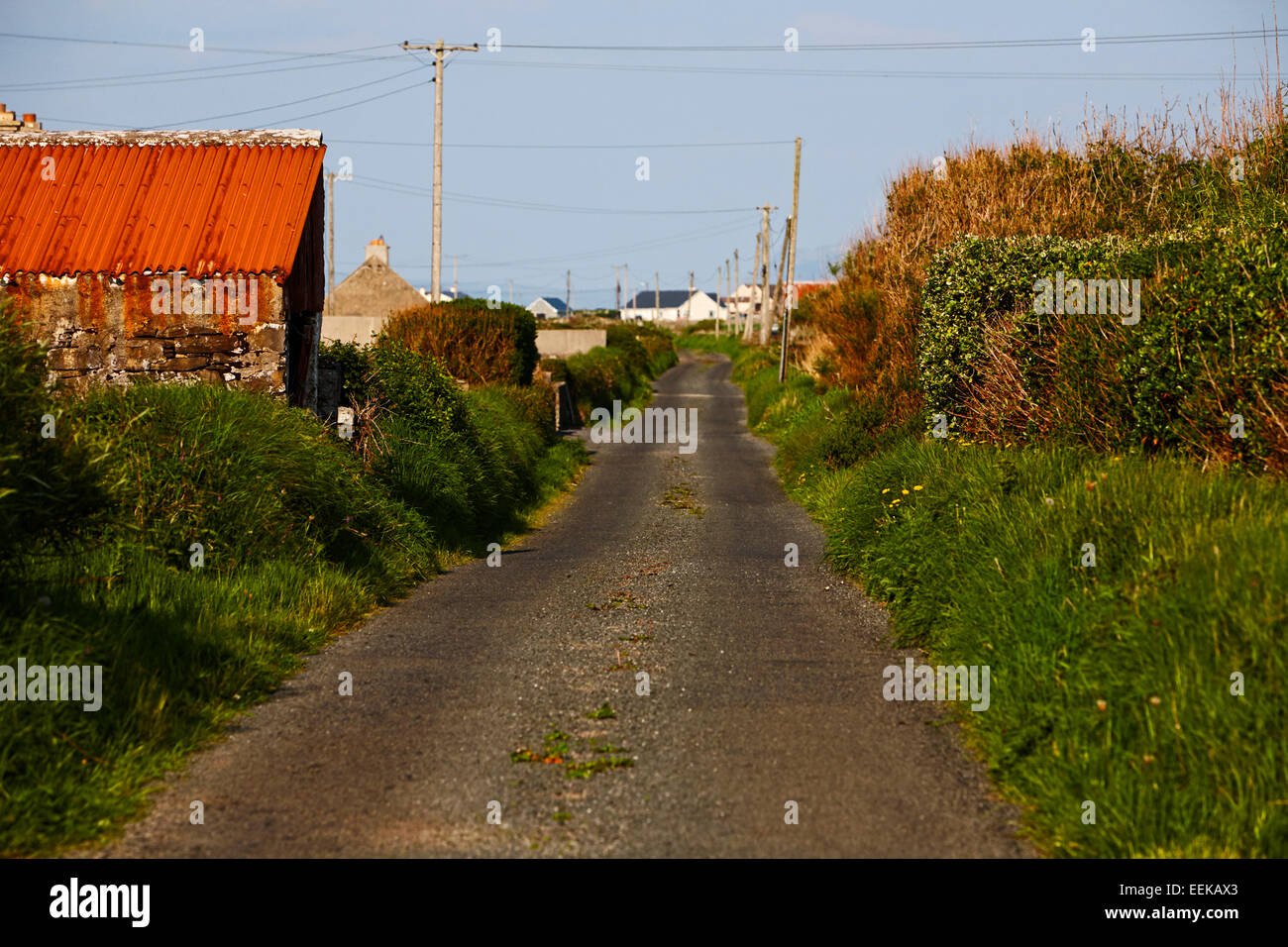 narrow rural single track irish road in rural ireland Stock Photo