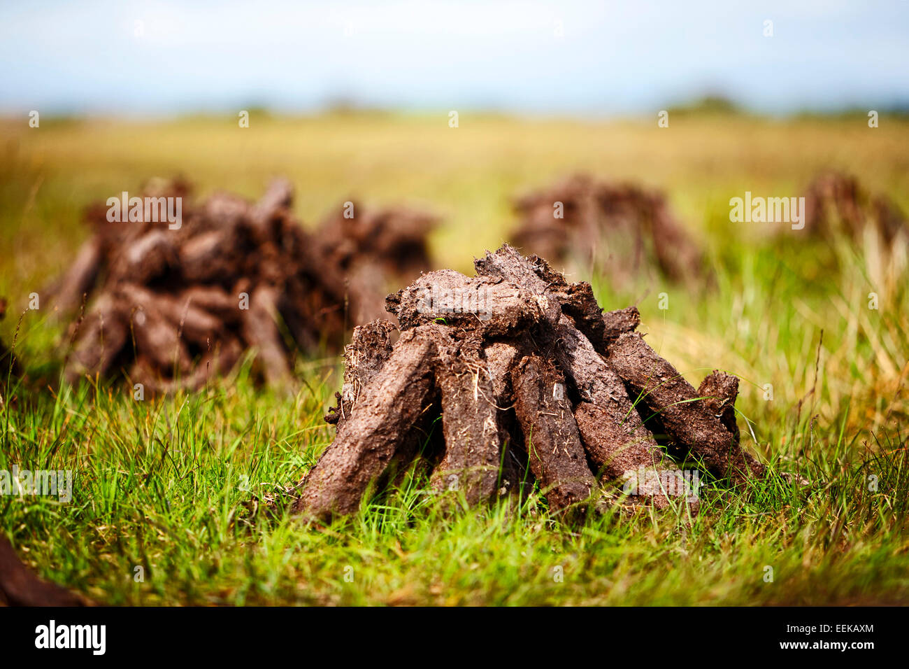 pile of irish peat turf fuel drying in the bog for home use Stock Photo