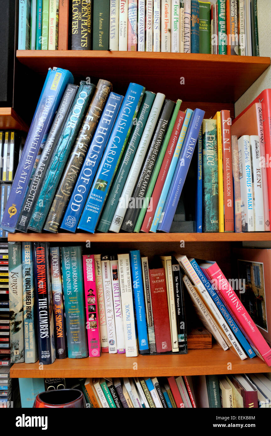 Bookshelves in the home Stock Photo Alamy