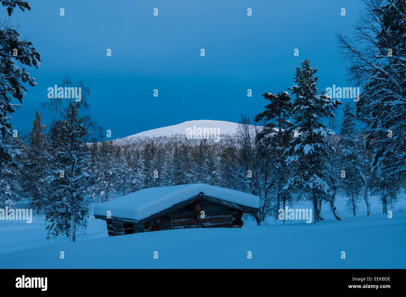 This snowy landscape shot was taken during the period of polar night in Urho Kekkonen national park, Finland. Stock Photo