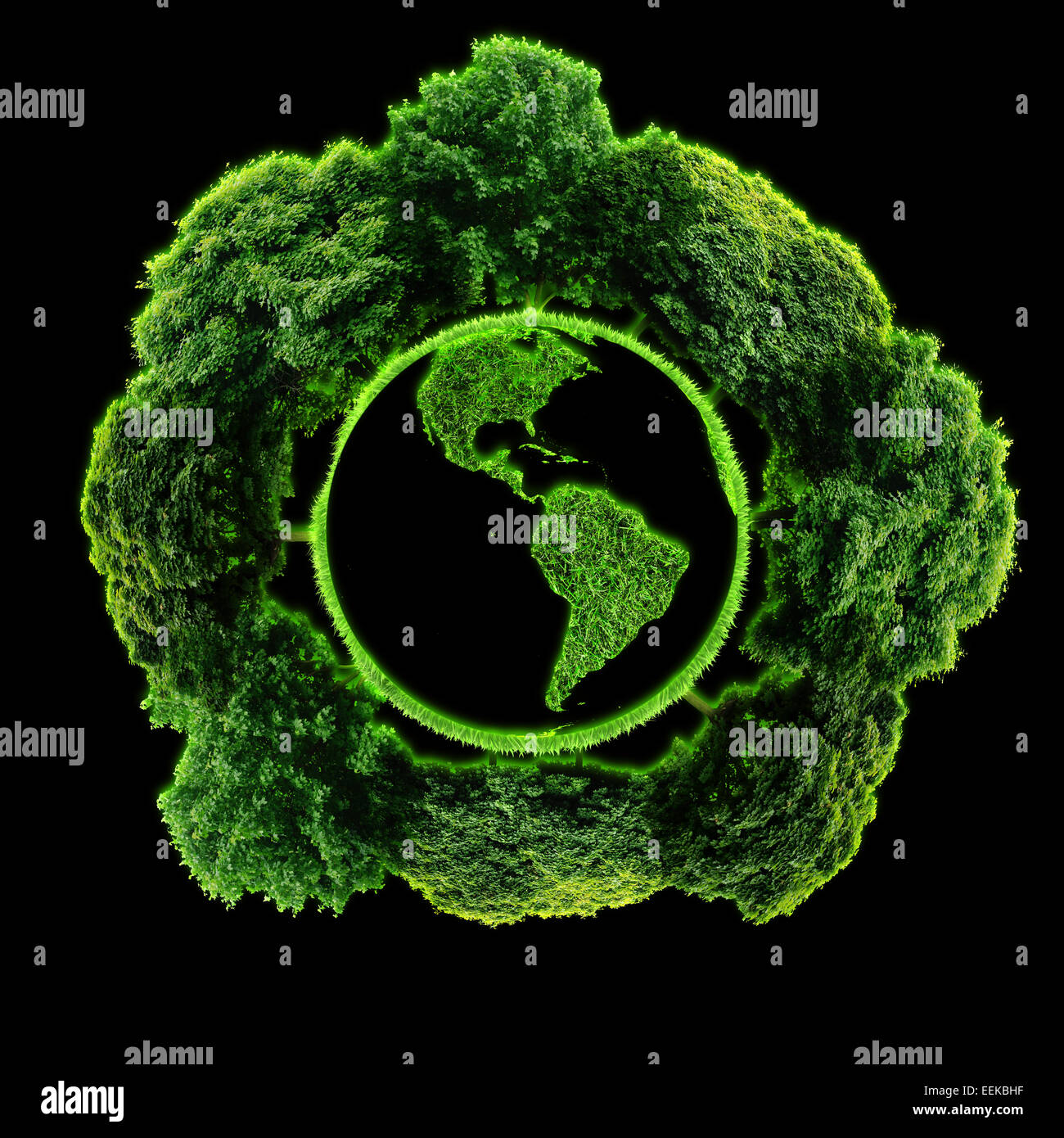 Trees growing around objects hires stock photography and images Alamy