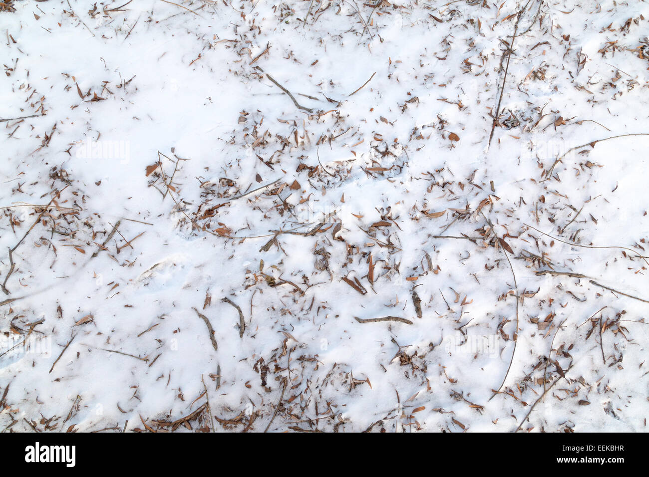 Snow ice texture hi-res stock photography and images - Alamy