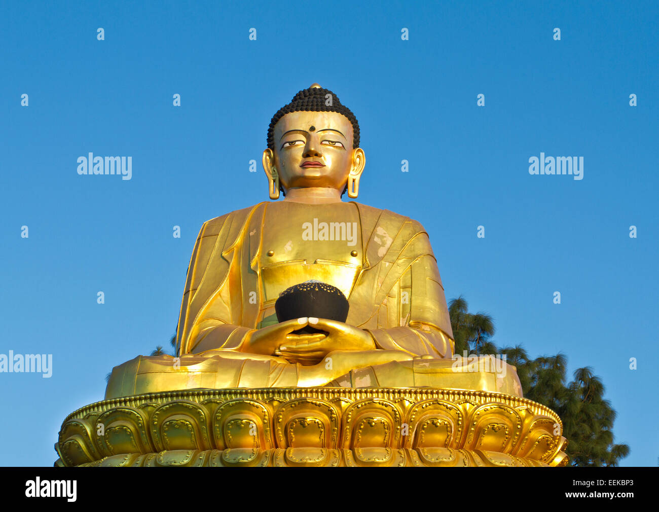 Buddha statue kathmandu hires stock photography and images Alamy
