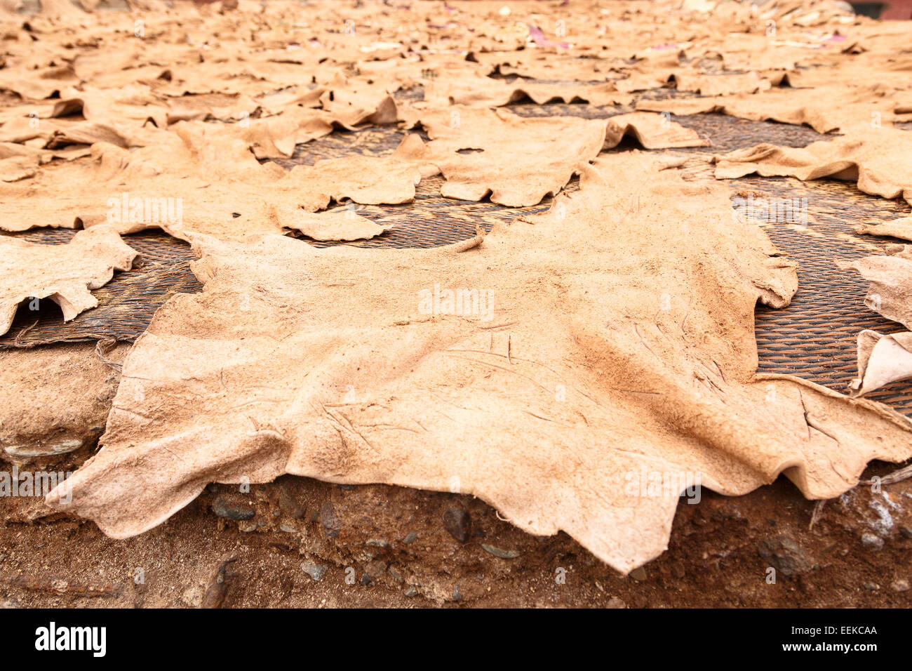 Tanneries. Marrakech. Morocco. North Africa. Africa Stock Photo