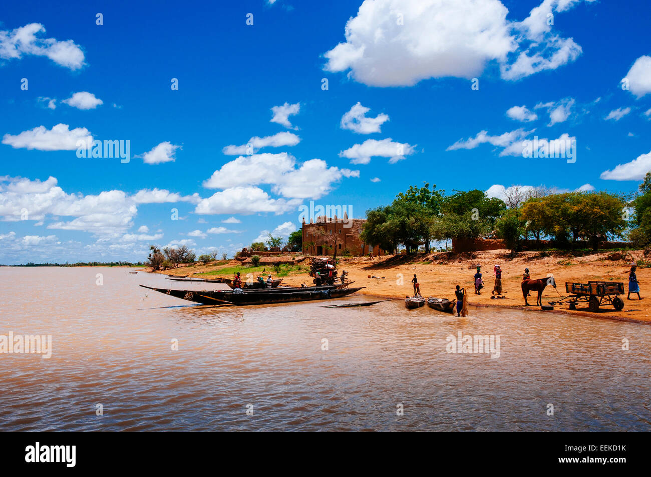 Life in the Bani river near Djenne, Mali. Stock Photo