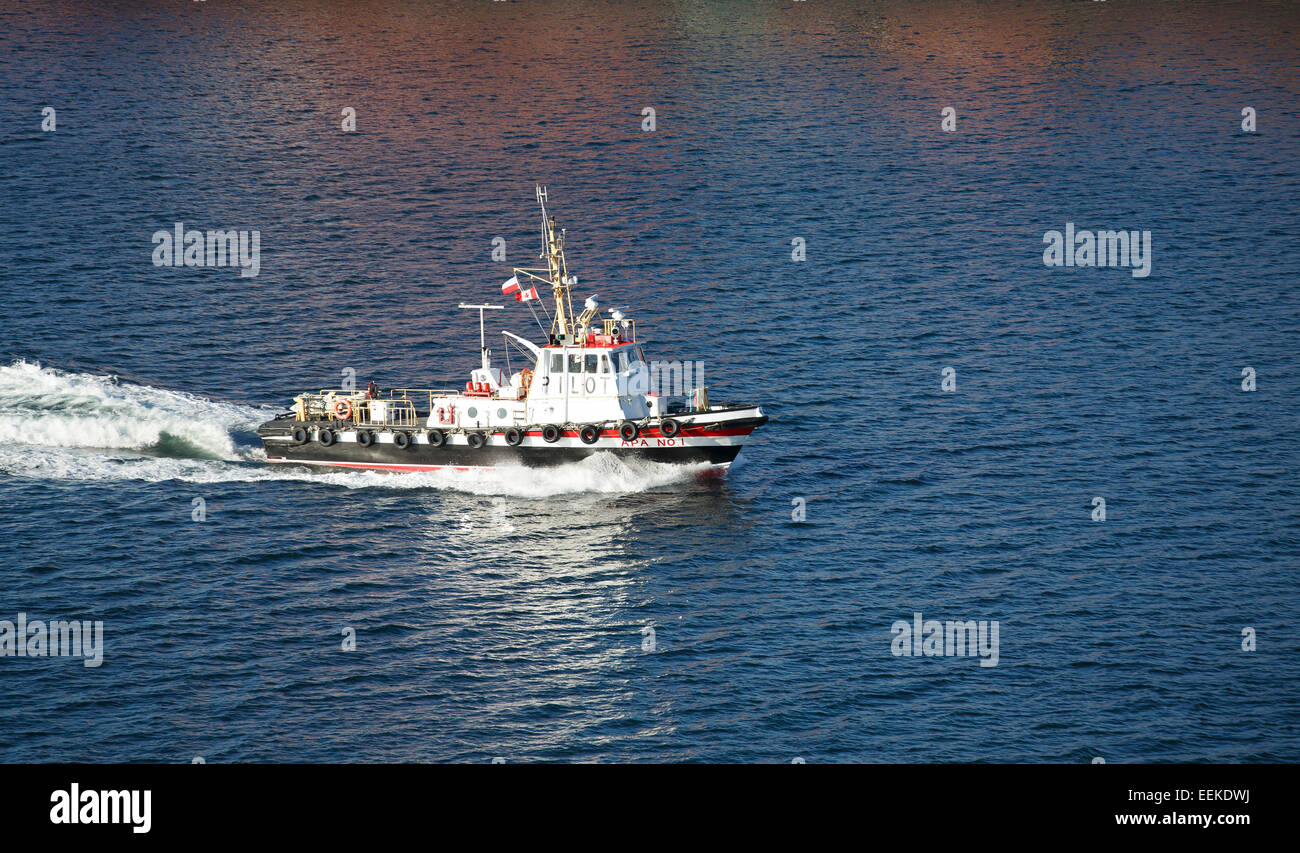 A black and white pilot boat cruise across blue water Stock Photo - Alamy