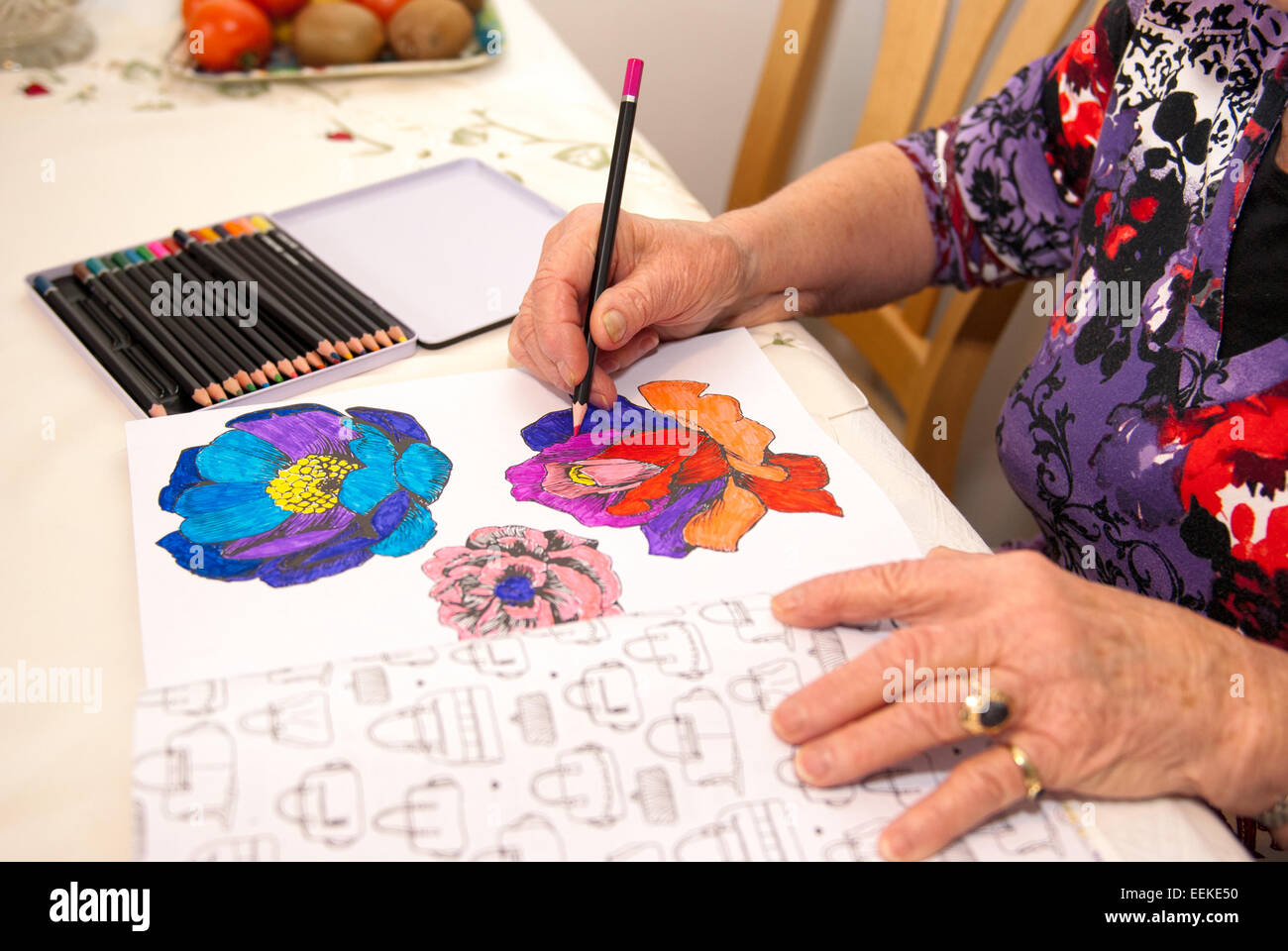 elderly woman busy with crayons in a coloring book Stock Photo