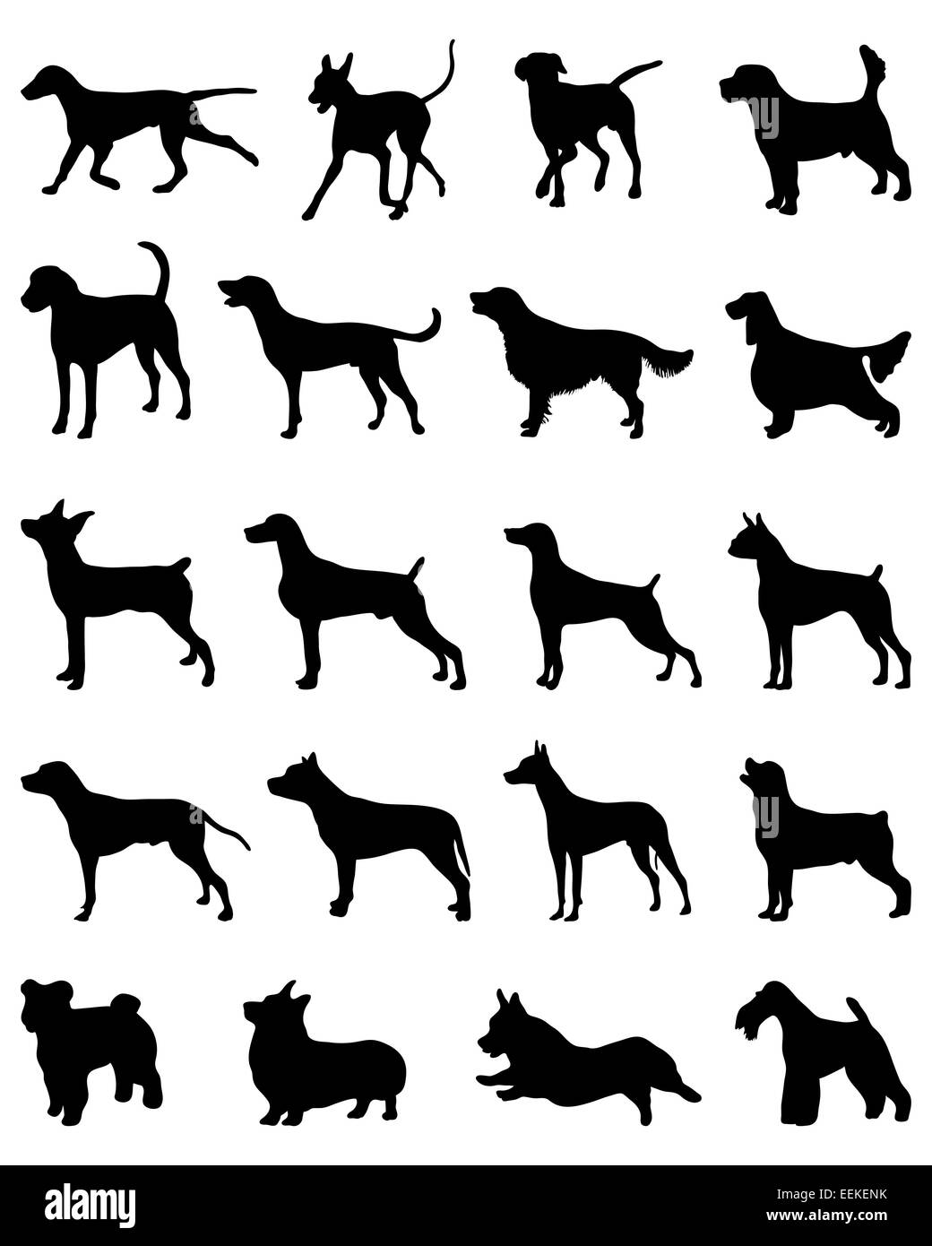 Terrier dog silhouette hi-res stock photography and images - Alamy