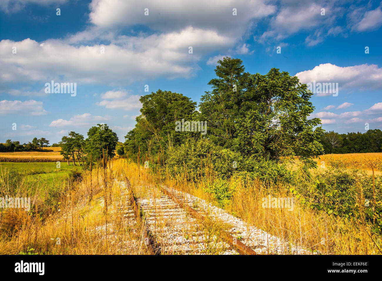 Abandoned railroad tracks in rural York County, Pennsylvania Stock