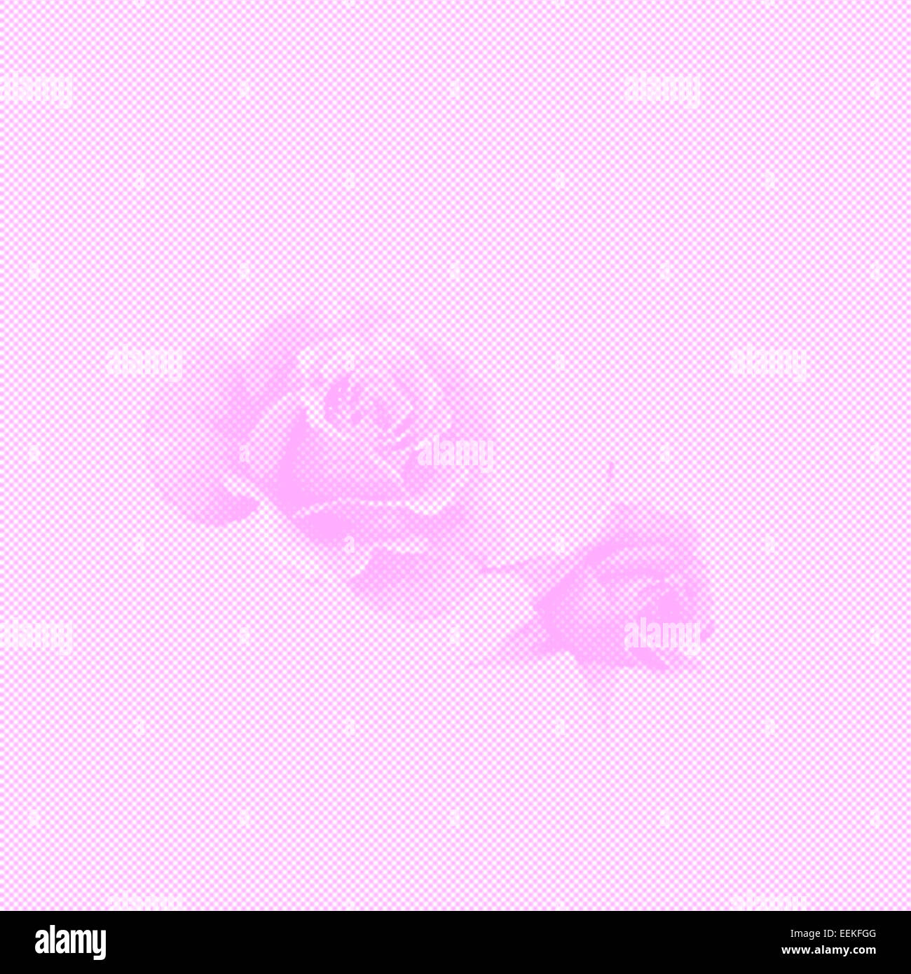Delicate feminine background with roses shaped from dots on a dotted background Stock Photo