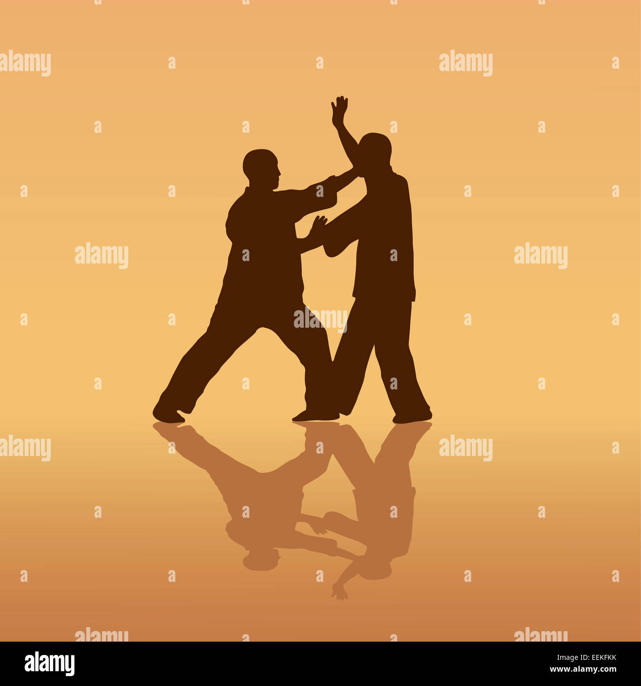 Kung fu fighting hi-res stock photography and images - Alamy