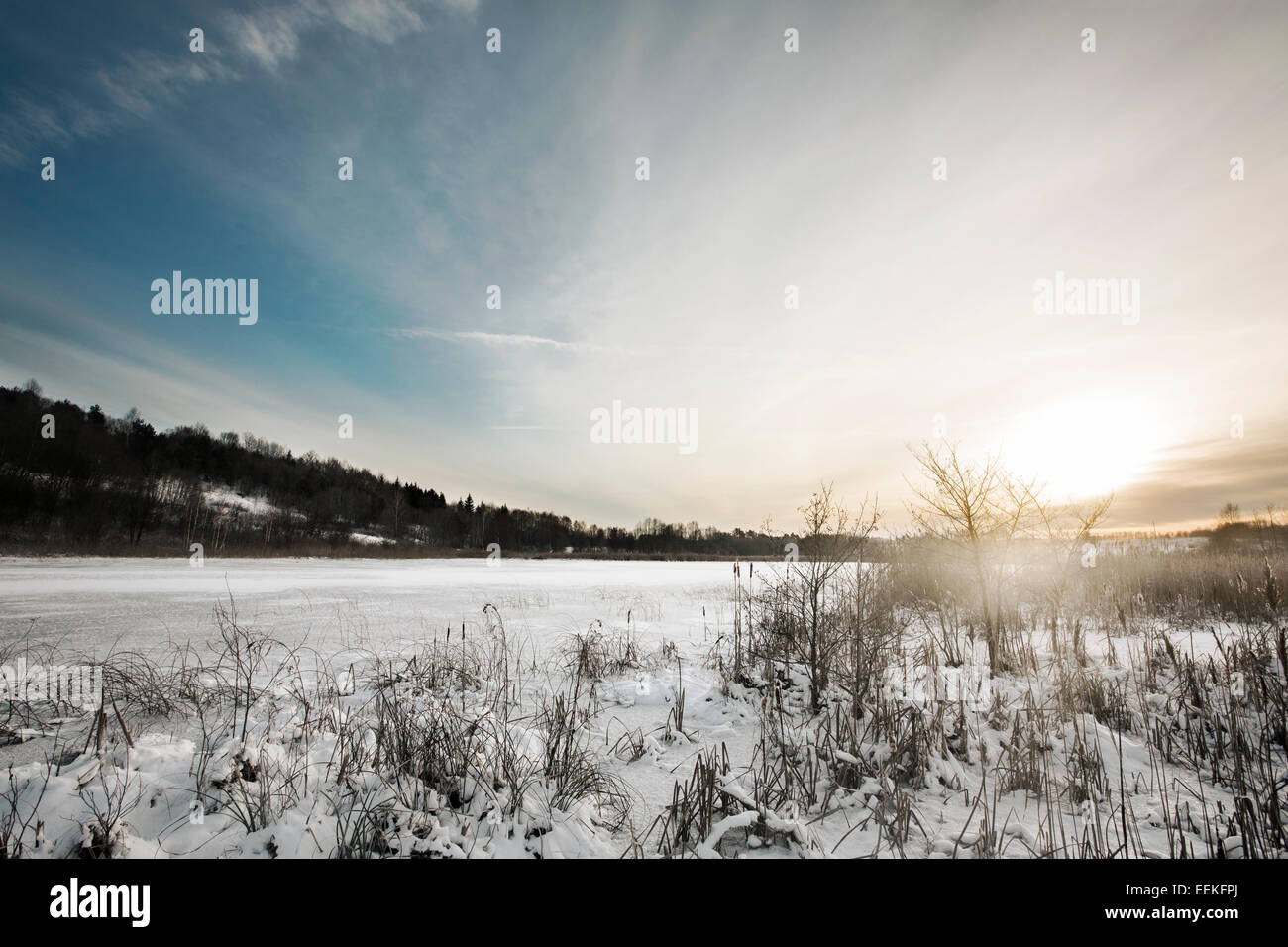 Frozen lake in Lithuanian countryside Stock Photo