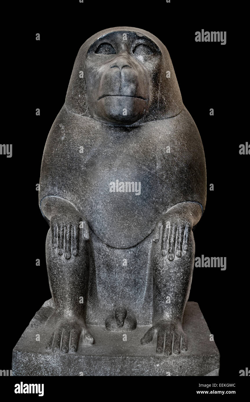 Dog head Sculpture 359-341 BC  Egypt Egyptian Grey granite cm 105 Rome Capitoline Museum Italy Italian Stock Photo