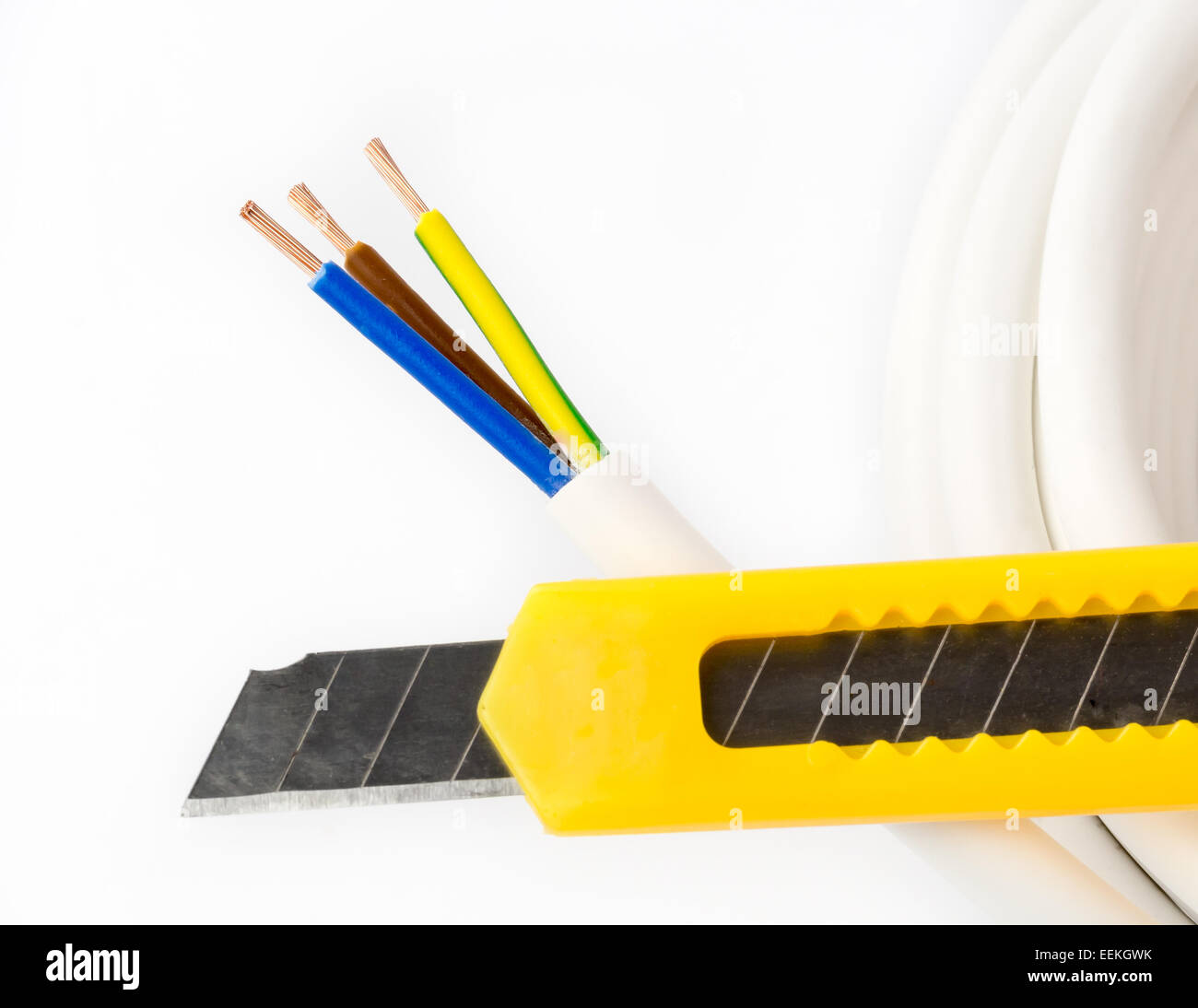 Stripped cords of a threewire power cord Stock Photo Alamy