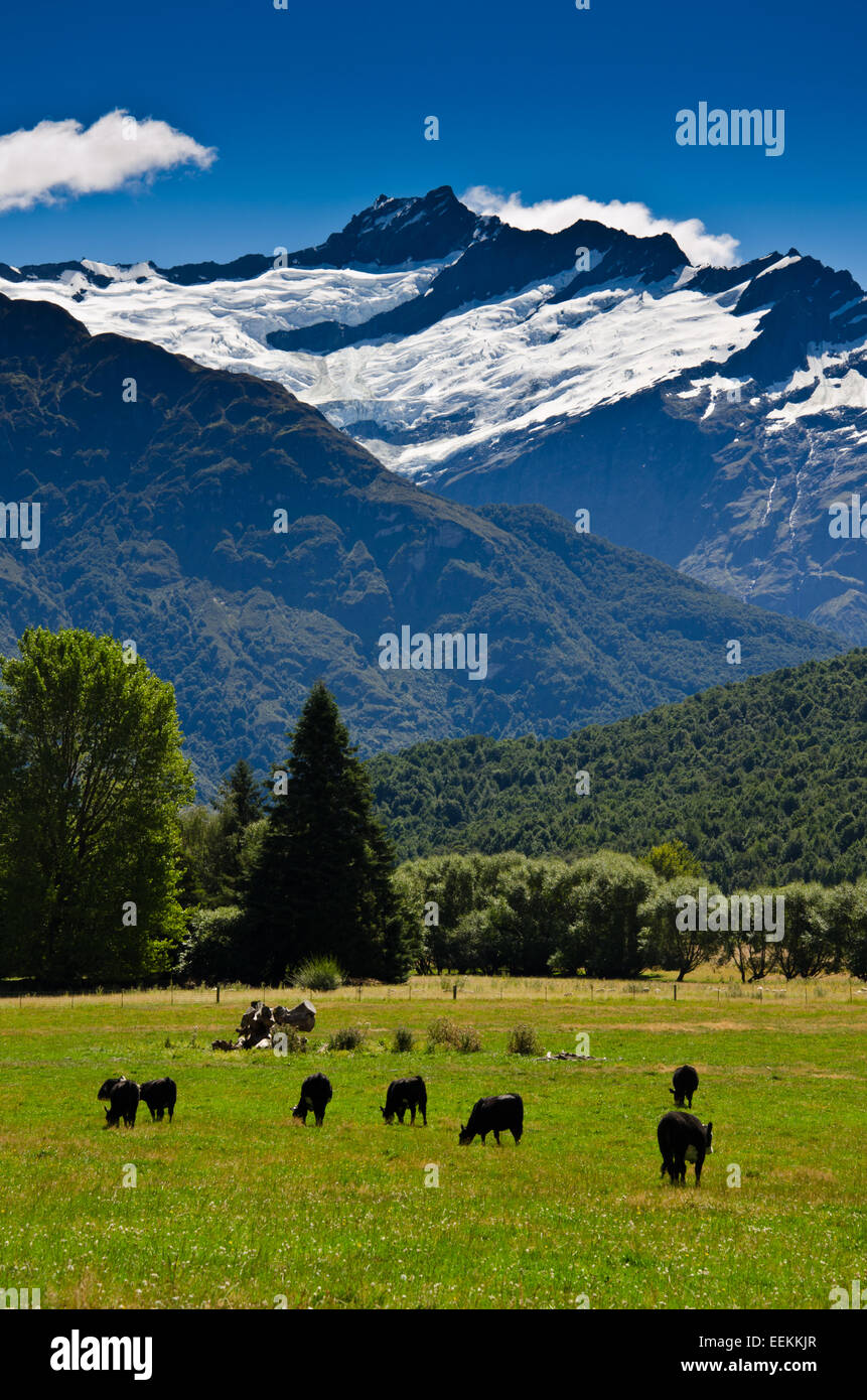 Mount Aspiring national park, New Zealand Stock Photo