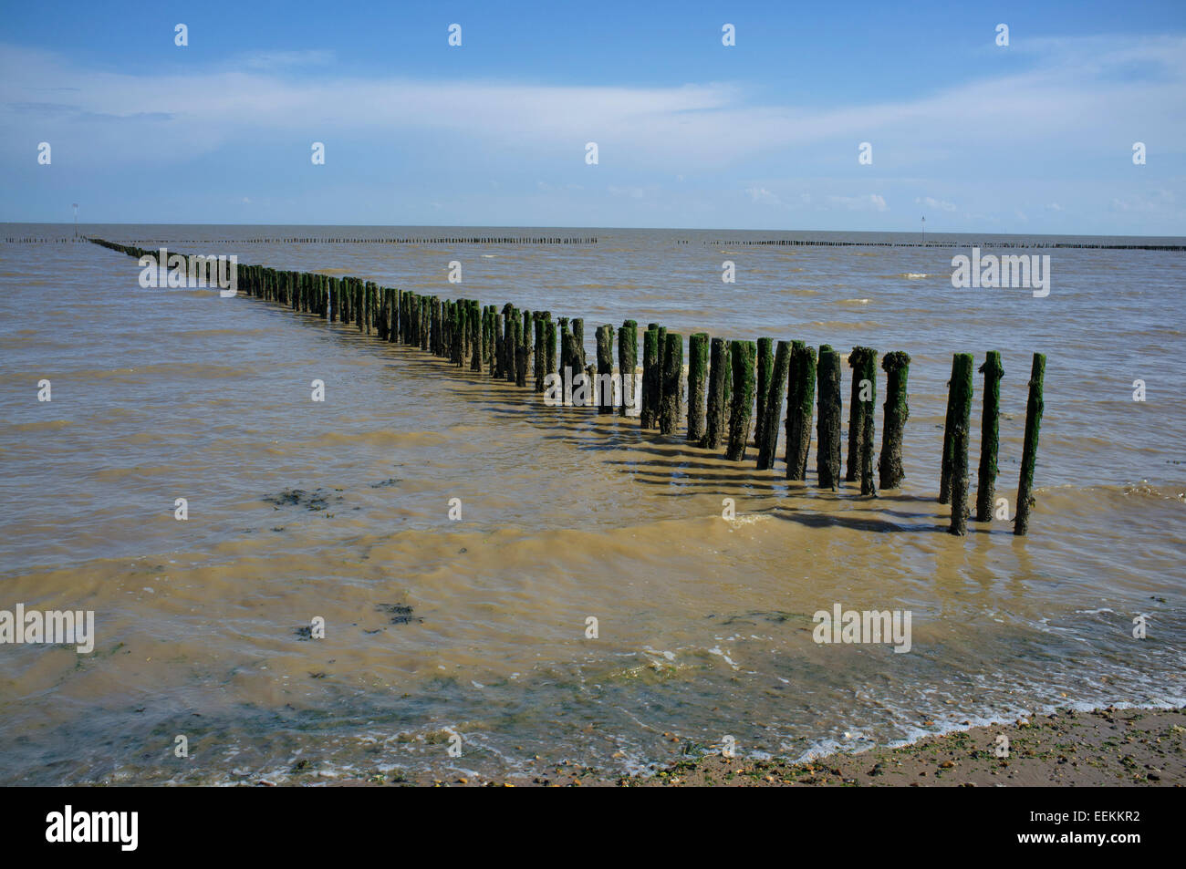 East mersea beach hi res stock photography and images alamy