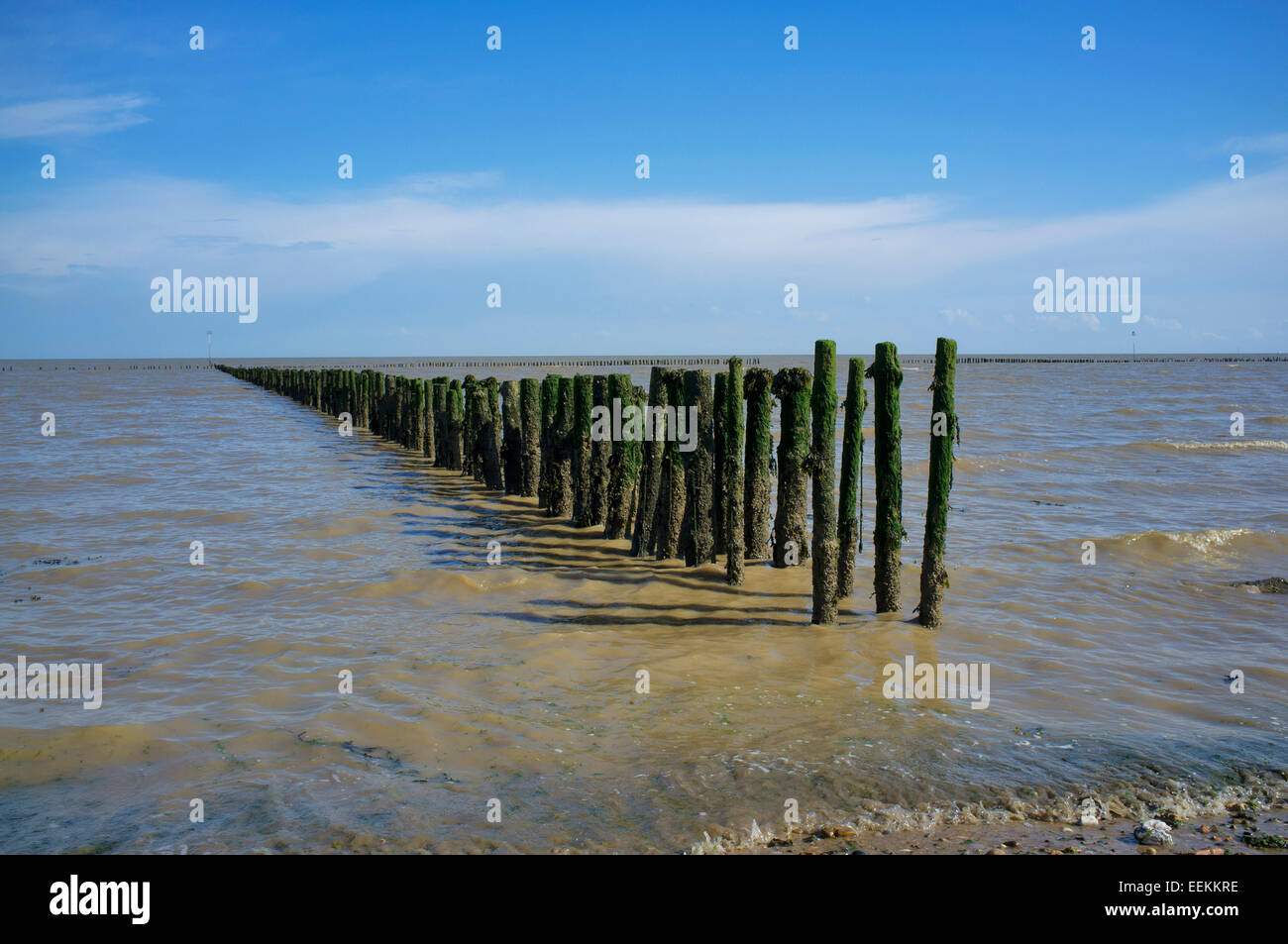 Sea defences on beach at high tide Cudmore Grove Country Park , Mersea