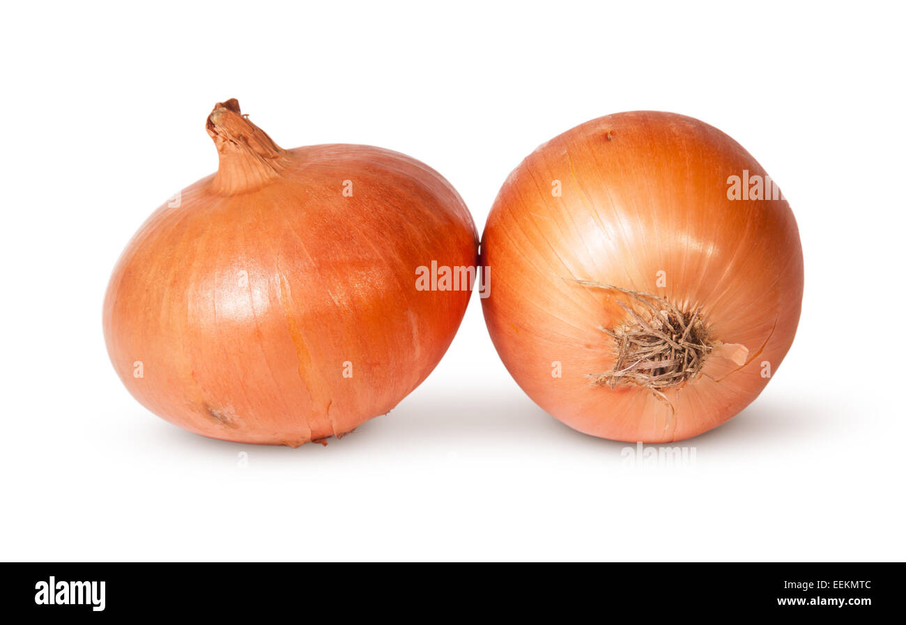 Two Fresh Golden Onions Isolated On White Background Stock Photo