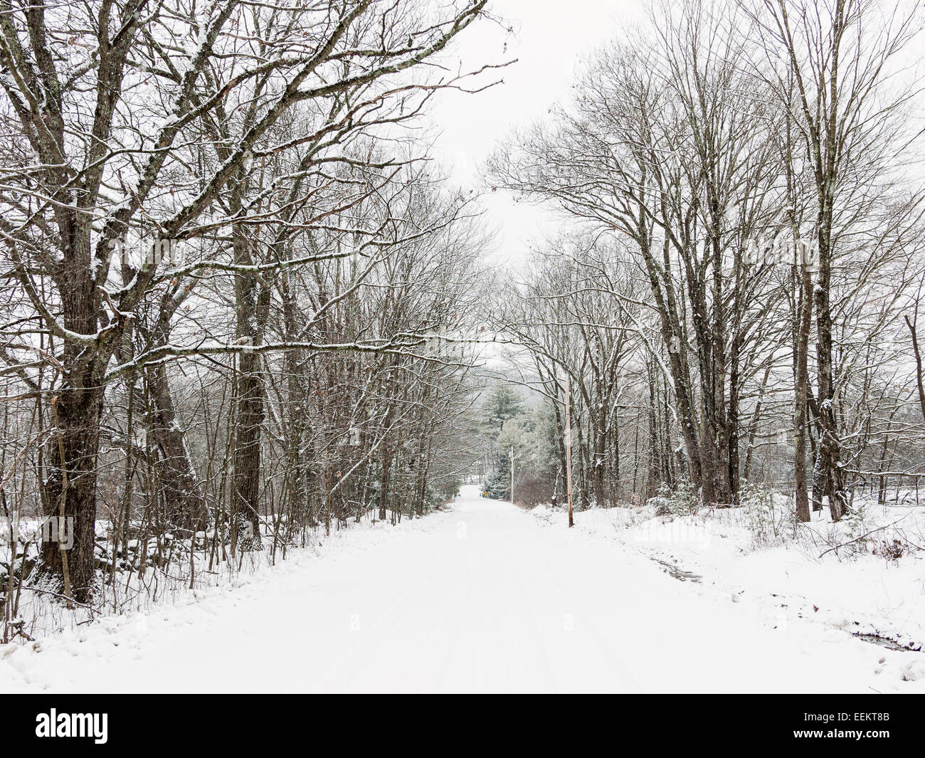 Snowy winter road in the country after winter snow storm. Stock Photo