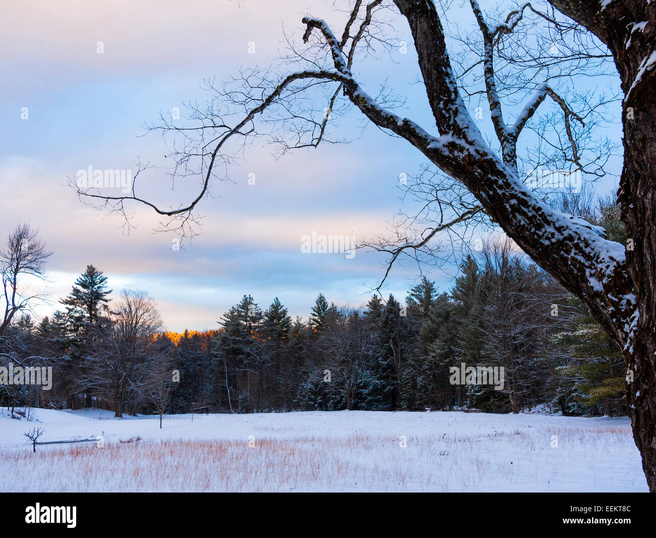 Rural meadow in snowy winter landscape scene in the country. Stock Photo
