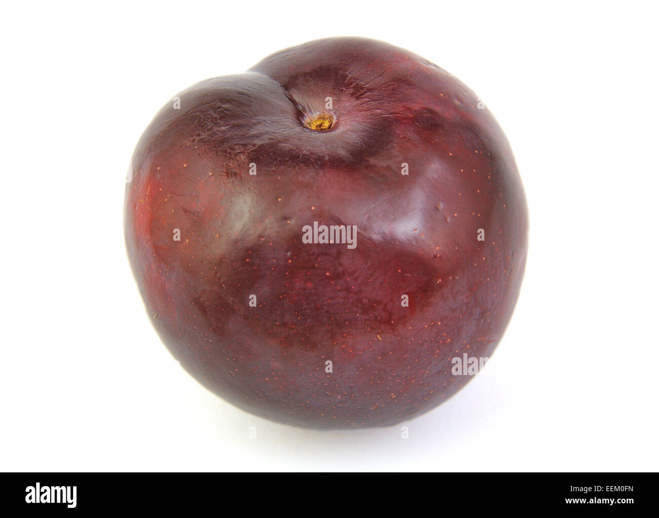 Front view of plum on white background Stock Photo - Alamy