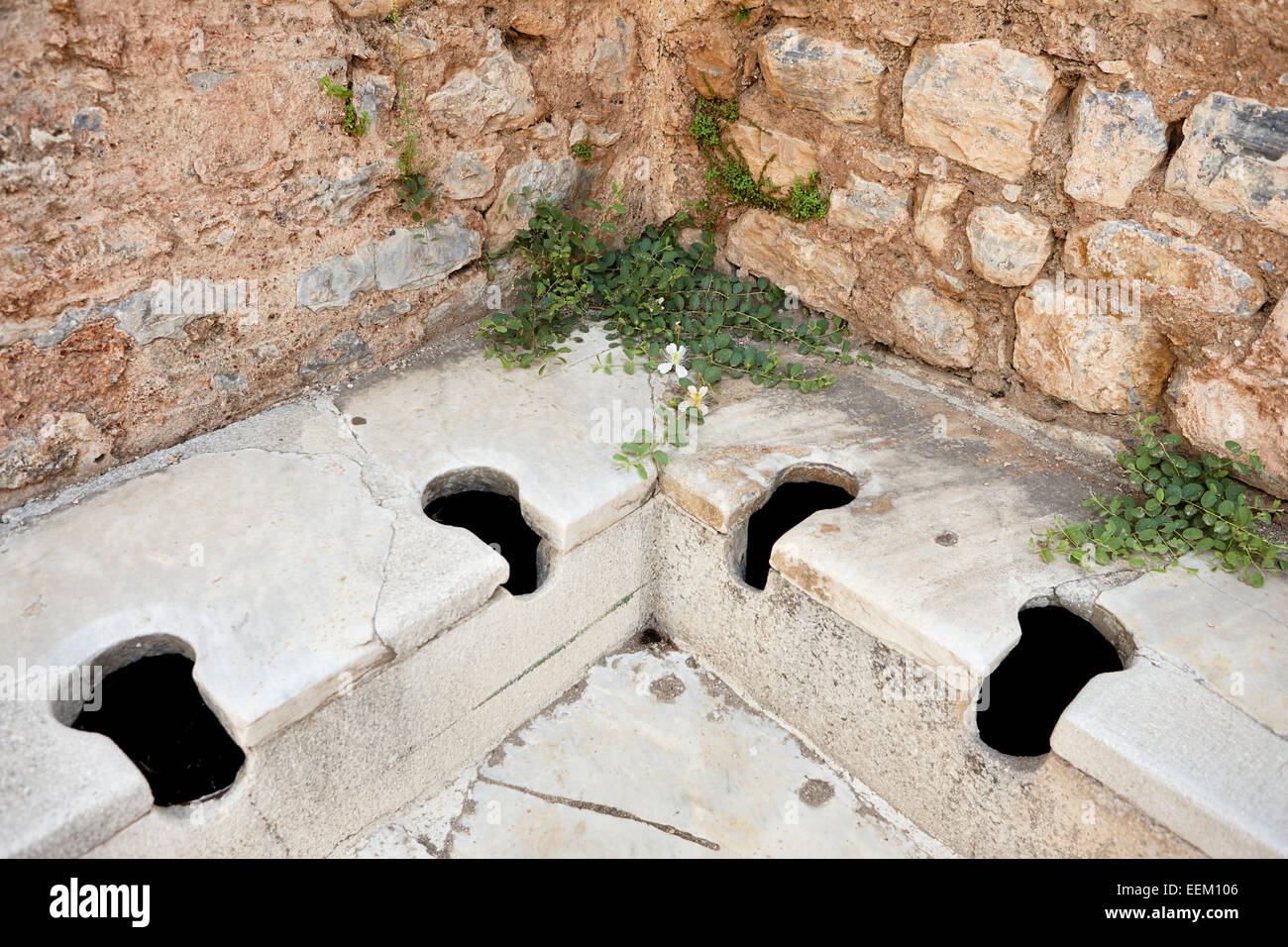 Latrine Stock Photos & Latrine Stock Images Alamy