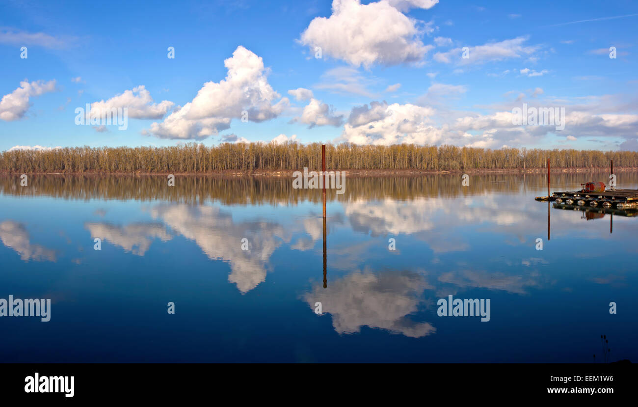 Reflections tree island and water Columbia River Oregon. Stock Photo