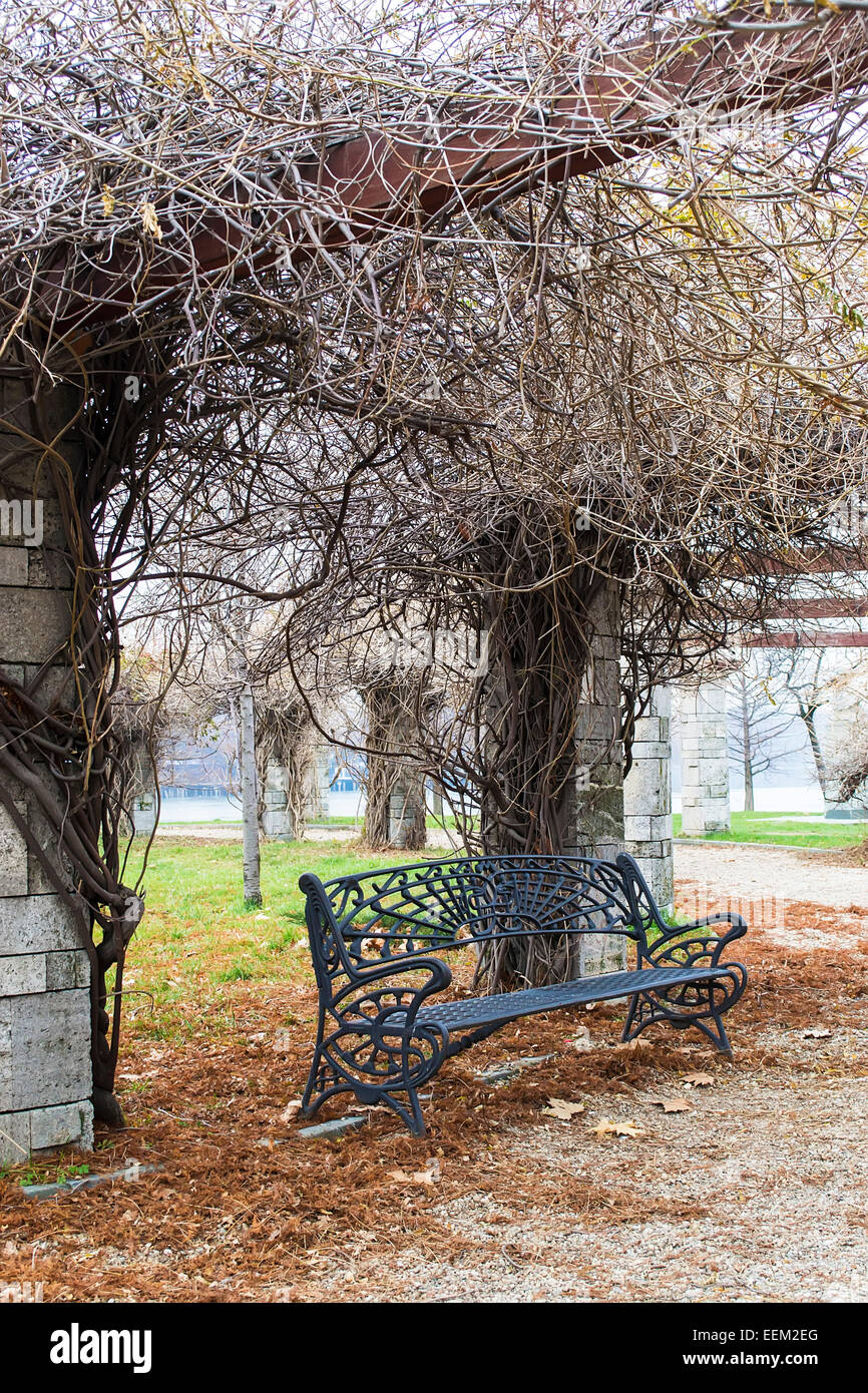 A cast iron bench in  a park under a roof of branches Stock Photo