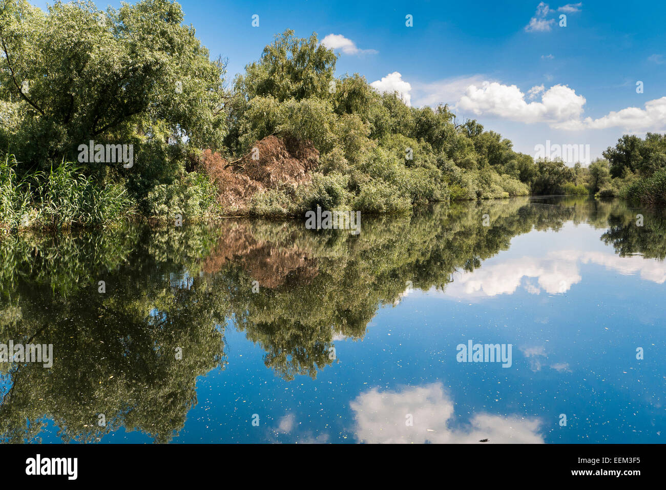 Danube Delta, channel through the lake district, Crisan, Dobrogea, Romania Stock Photo