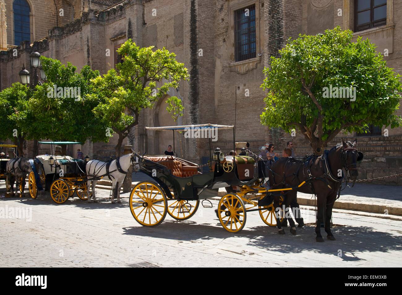 Carriages in the old town, Barrio Santa Cruz, Seville, Andalucía, Spain Stock Photo