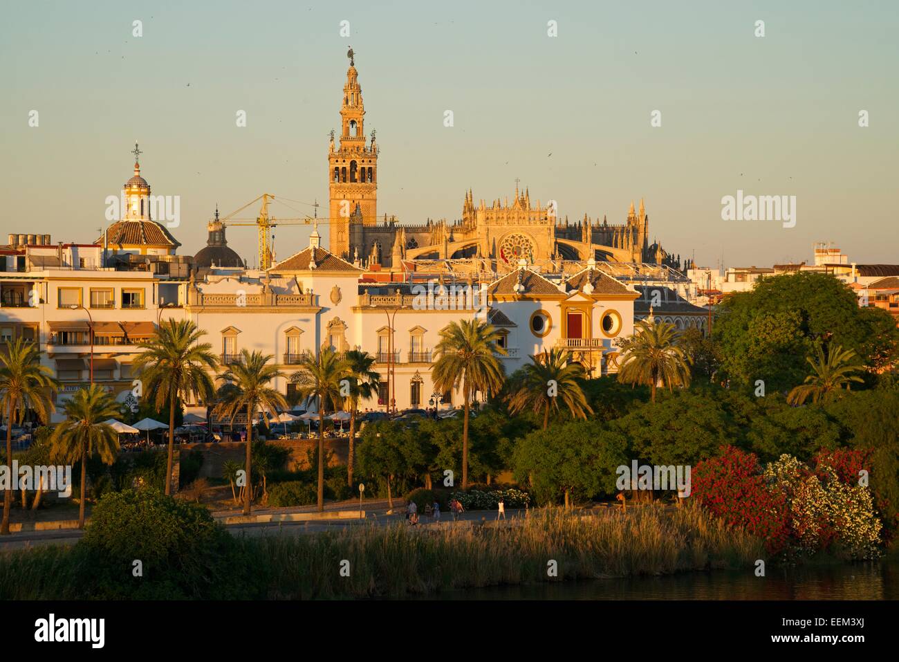 View over the Guadalquivir to the bullring and the cathedral, Seville, Andalucía, Spain Stock Photo