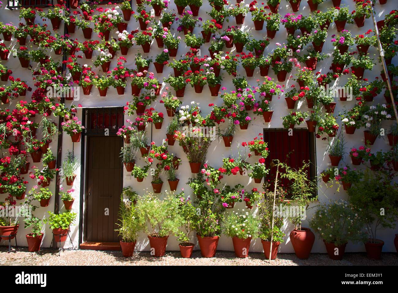 Flower-bedecked inner courtyard during the Fiesta de los Patios, Córdoba, Andalucía, Spain Stock Photo