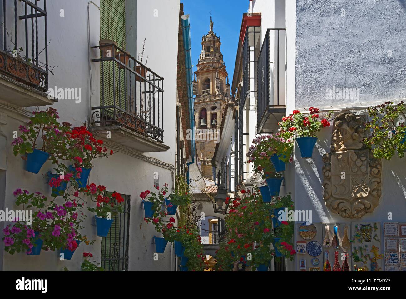 Calle de las Flores with flowers, Córdoba province, Andalucía, Spain Stock Photo