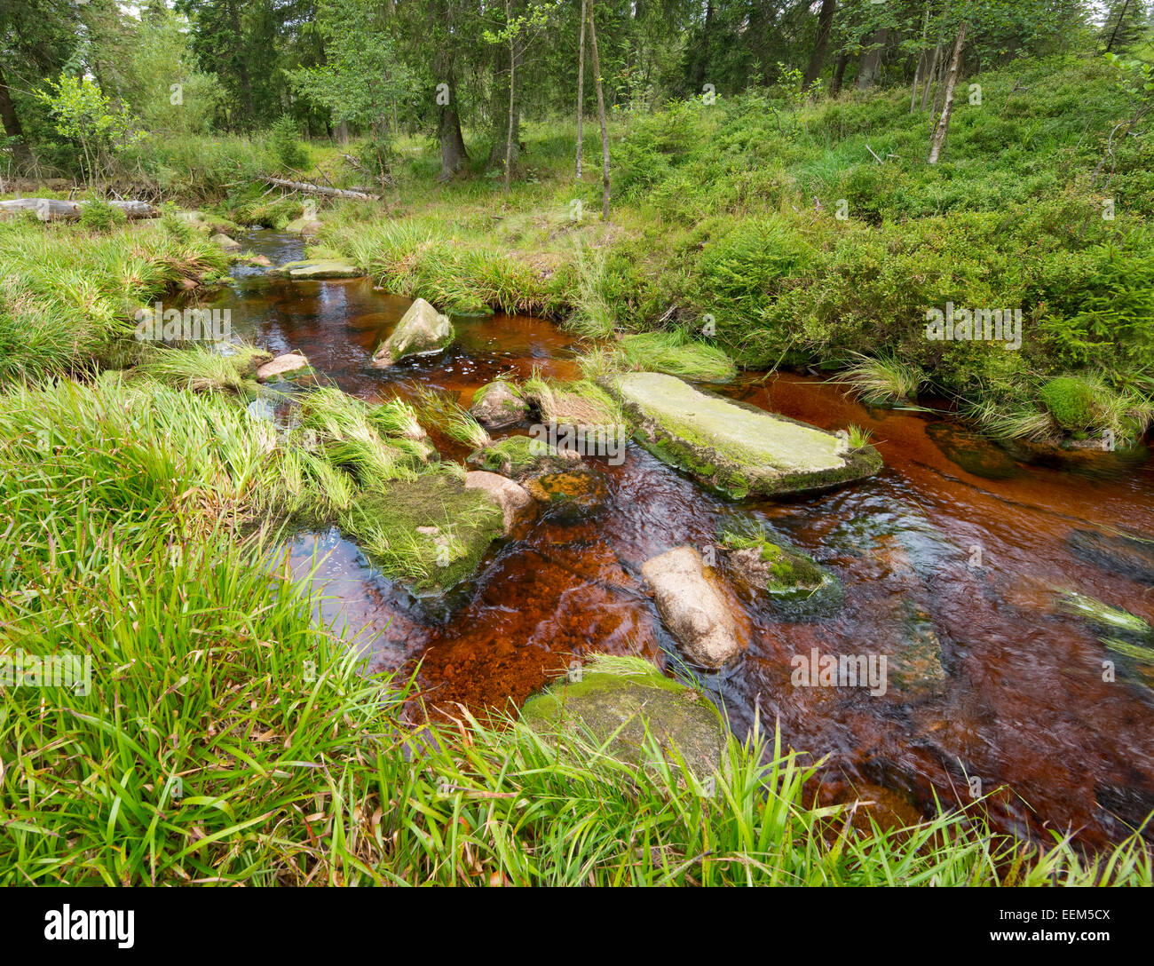 River Oder, Harz National Park, Germany Stock Photo