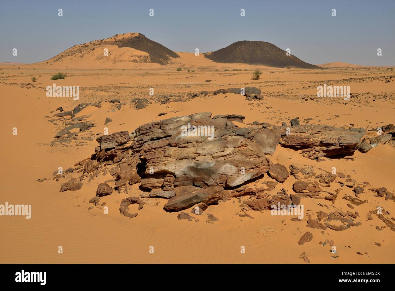Landscape, Bayuda Desert, asch-Schamaliyya, Nubia, Sudan Stock Photo