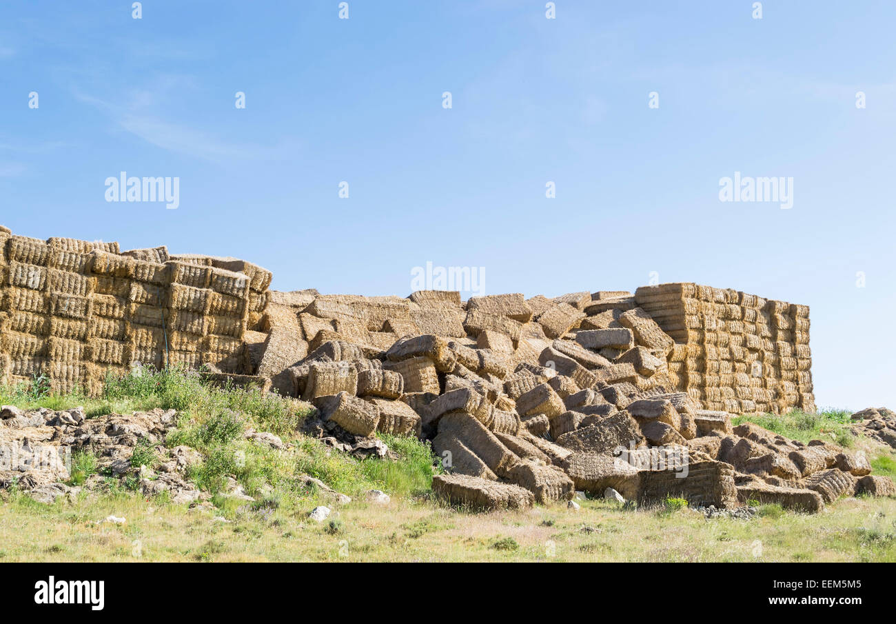 Huge stacks of straw bales gathered from the field which collapsed under their own weight Stock Photo