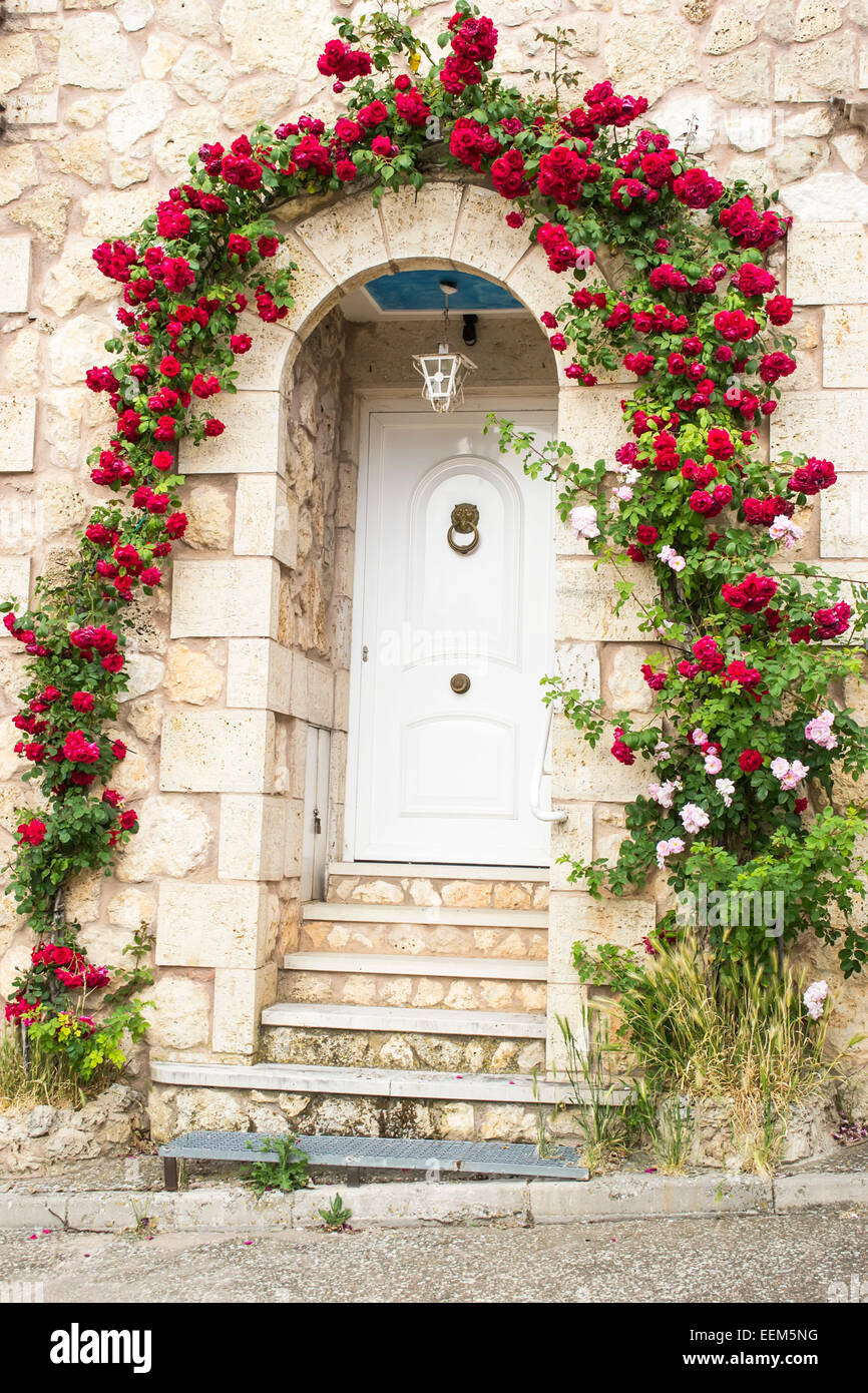 House entrance decorated with an arcade of red and pink roses Stock ...