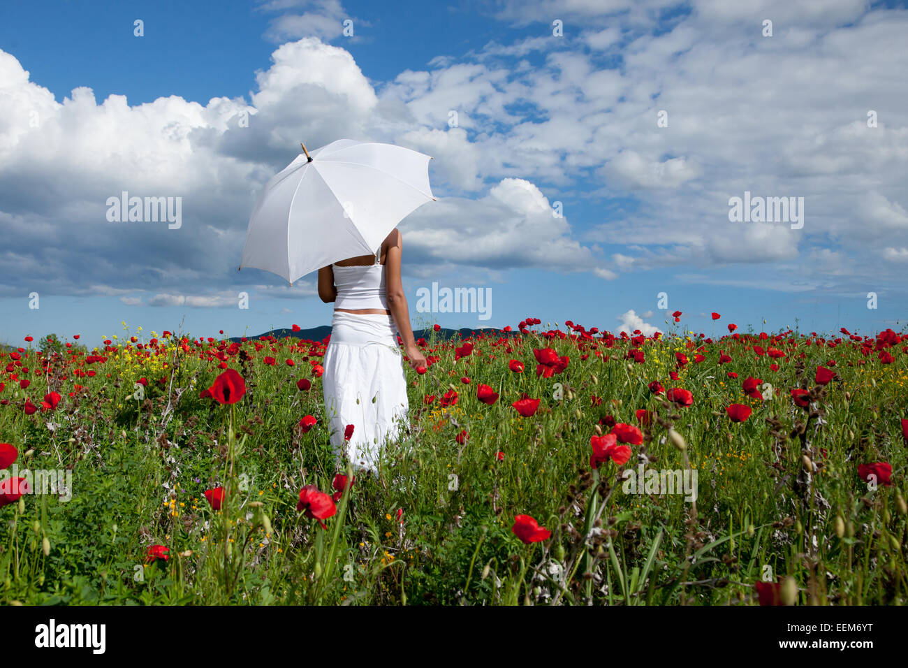 Woman with white umbrella standing in field of red poppies Stock Photo