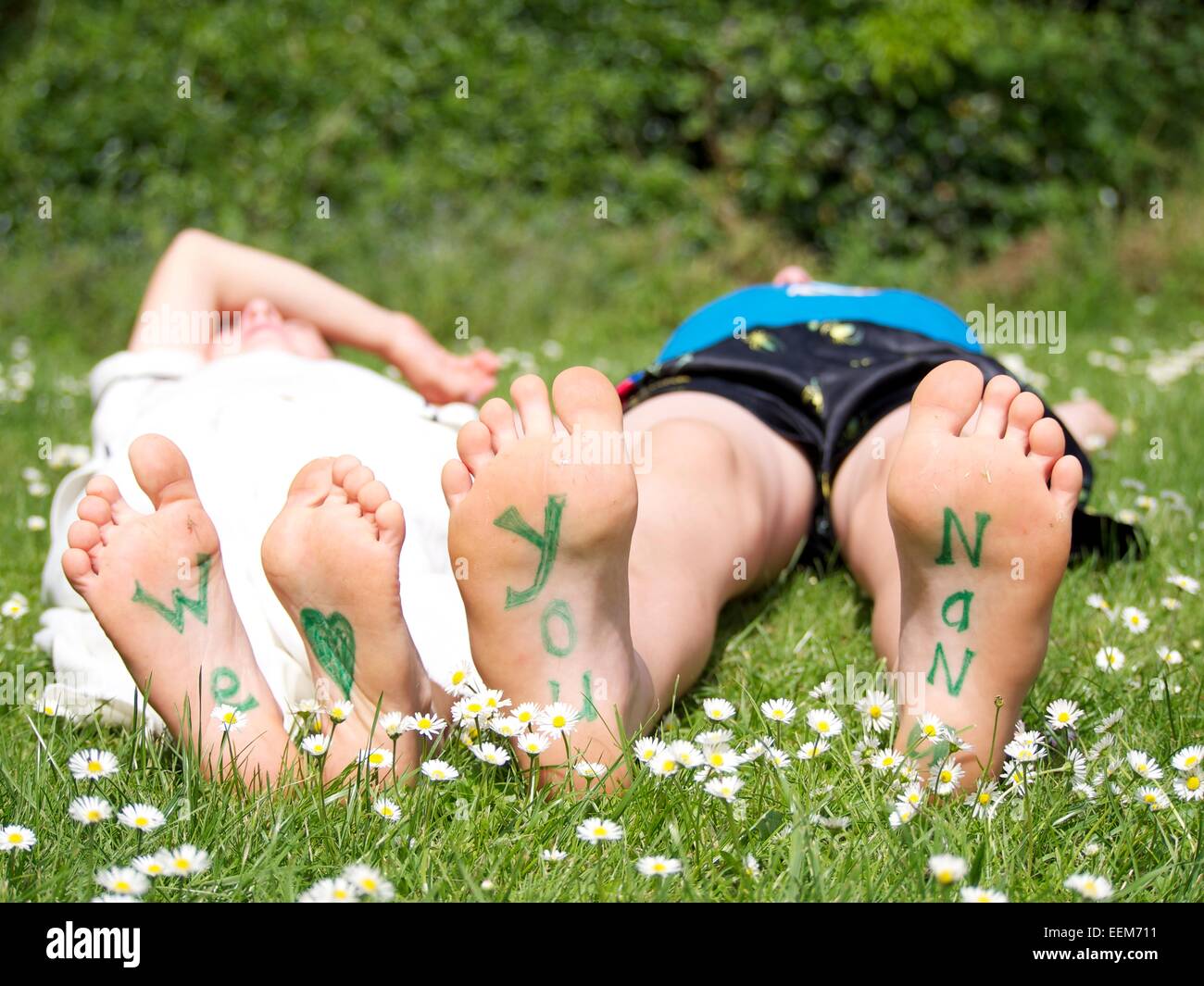 Two boys (6-7, 7-9) lying in meadow Stock Photo