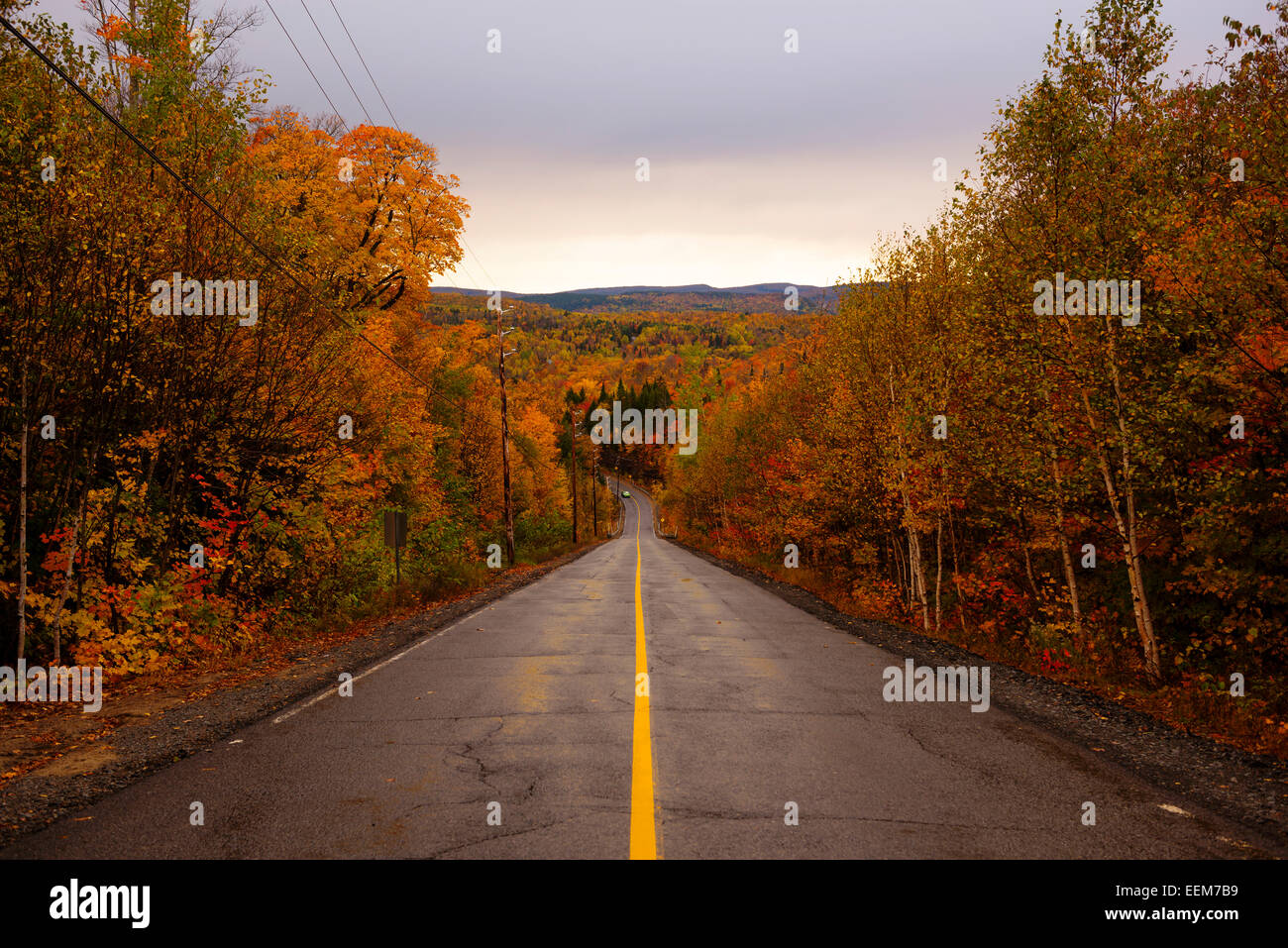 Canada, Quebec, Symmetrical view of road with single yellow line and autumn trees on sides Stock Photo