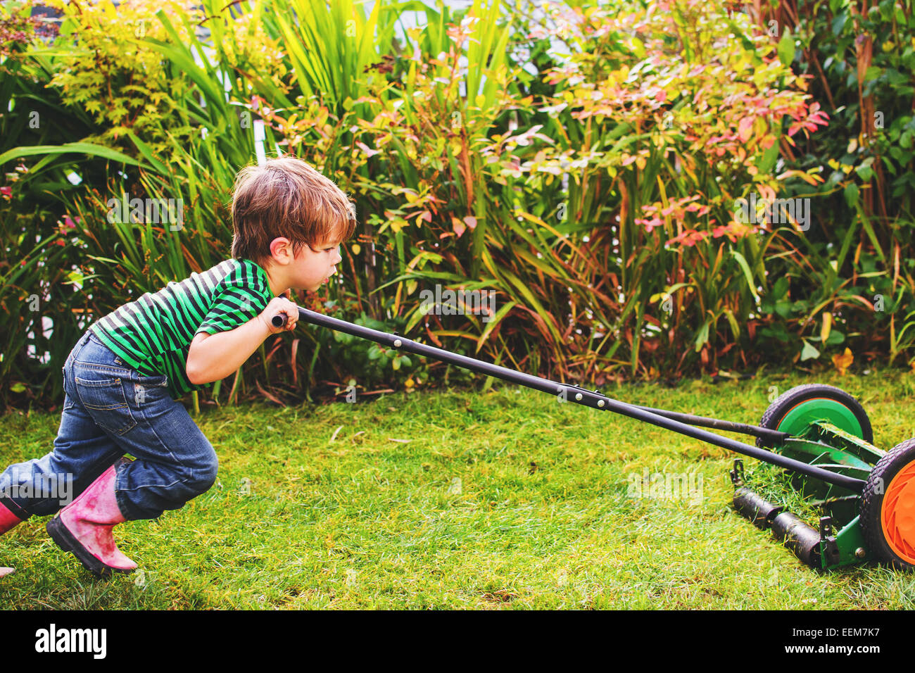 Boy mowing the lawn Stock Photo