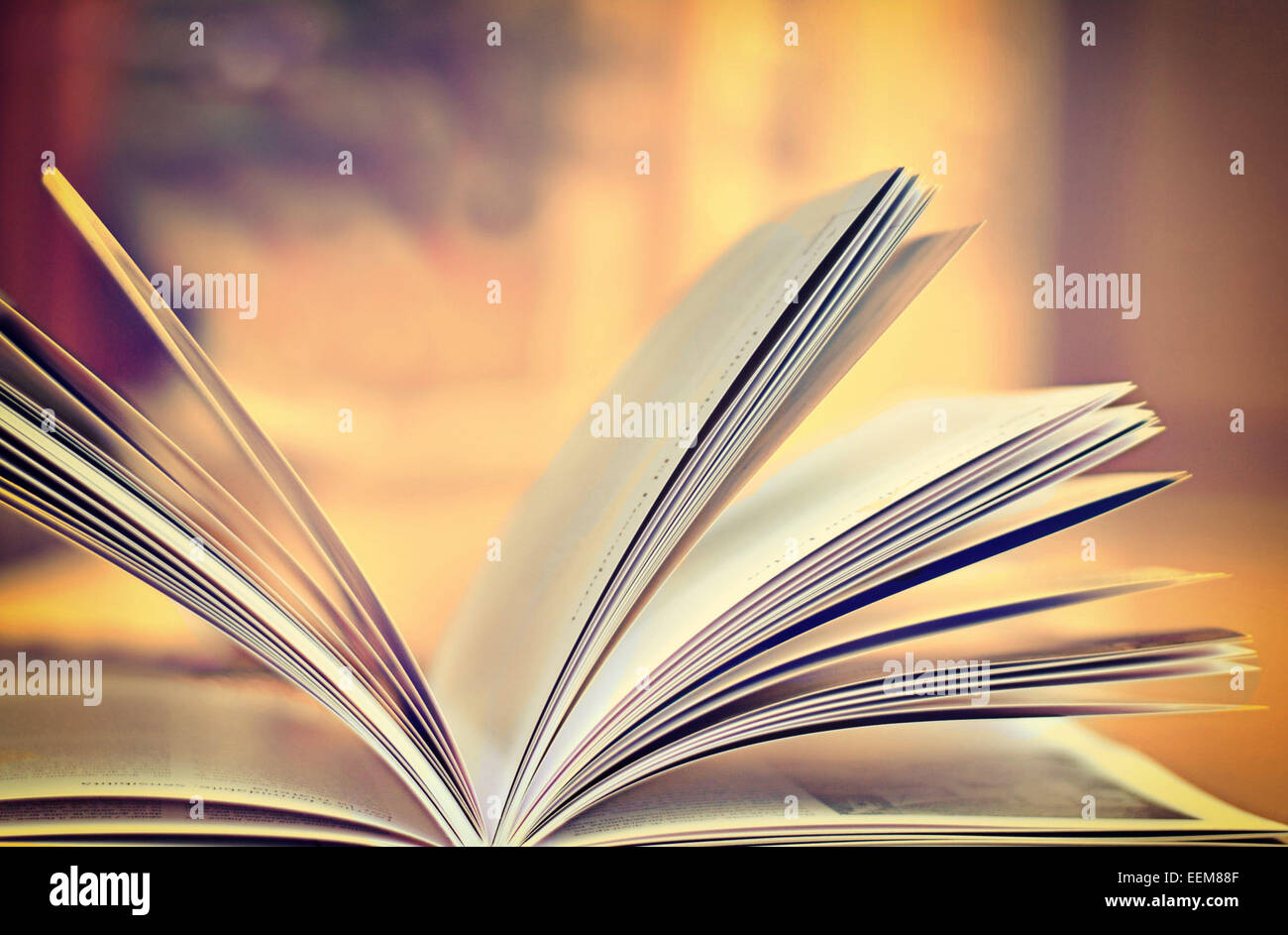 Close up of open book Stock Photo