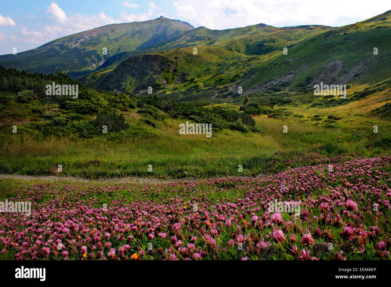 Ukraine, Carpathian mountains, Chornohora, View of Pip Ivan Mountain Stock Photo
