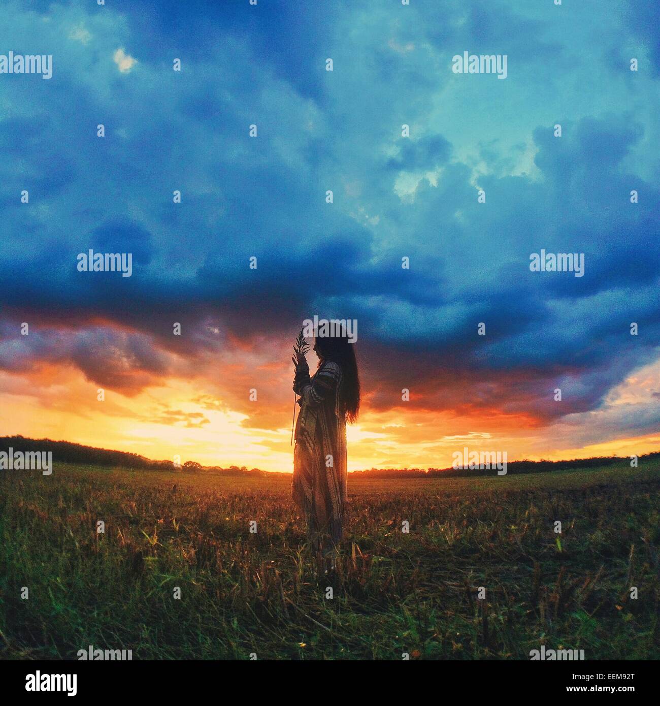 Woman standing in field at sunset Stock Photo - Alamy