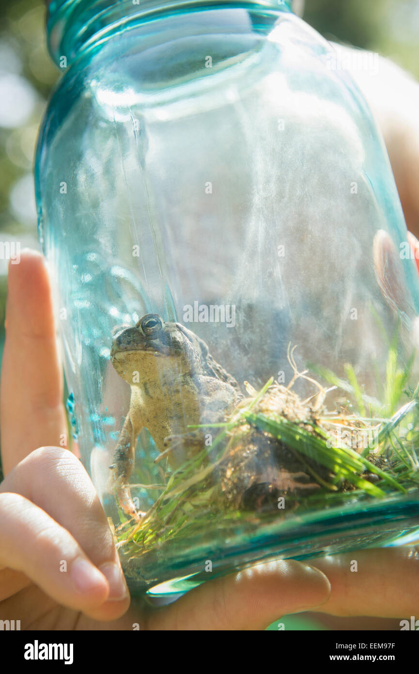 Close up of Caucasian boy holding jar with frog Stock Photo