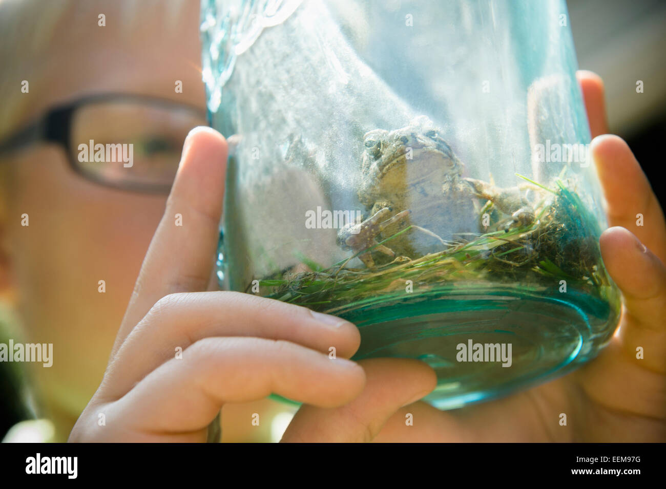 Close up of Caucasian boy holding jar with frog Stock Photo