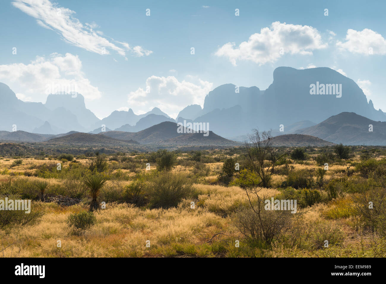 Desert landscape, Big Bend National Park, Texas, United States Stock Photo
